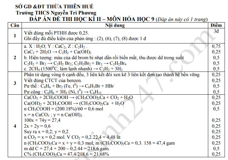 De kiem tra ki 2 mon Hoa lop 9 THCS Nguyen Tri Phuong 2019