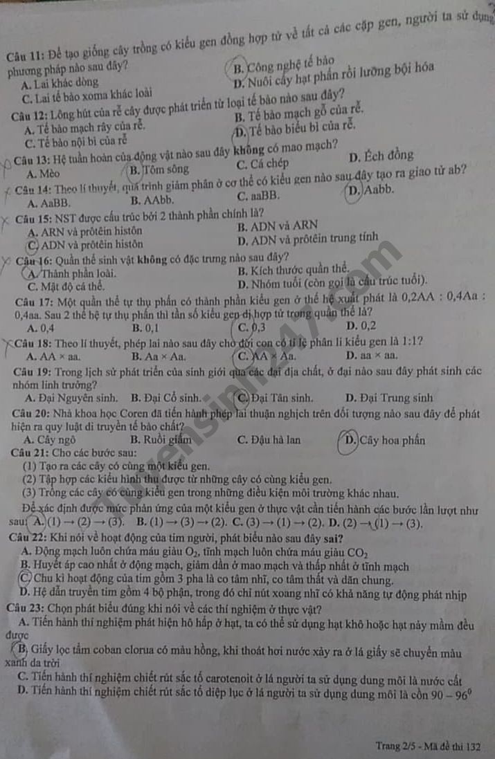 Dap an de thi thu tot nghiep THPT mon Sinh Chuyen Thai Binh 2020 lan 3