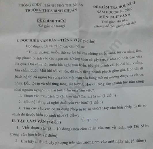 De thi hoc ki 2 mon Van lop 6 THCS Binh Chuan nam 2020