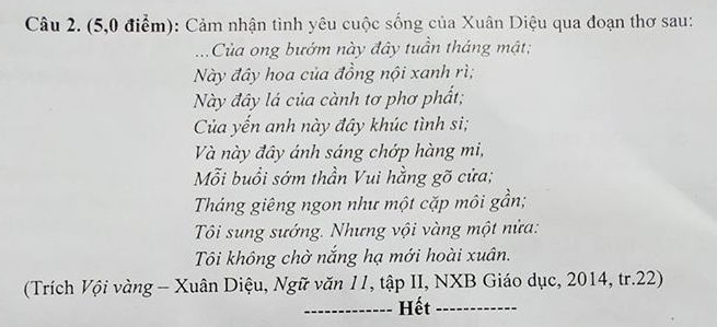 De thi ki 2 mon Van lop 11 - THPT Tran Van Ky 2020