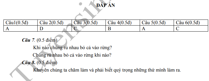 De thi ki 2 mon Tieng Viet lop 2 - TH Tan Hiep 2020