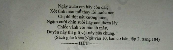 De thi hoc ki 2 mon Van lop 10 nam 2020 THPT Cho Gao
