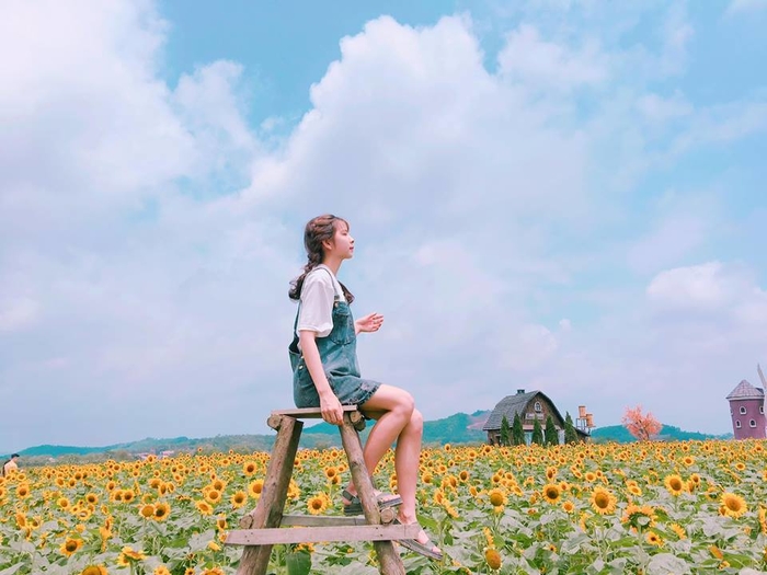 Tu vi 12 cung hoang dao thu Ba ngay 7/7/2020