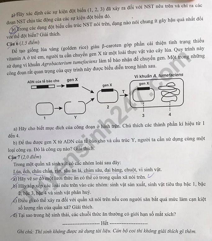 De thi mon Sinh chuyen vao lop 10 nam 2020 - SPHN