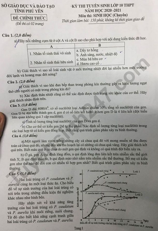 De thi mon Sinh chuyen vao lop 10 tinh Phu Yen nam 2020