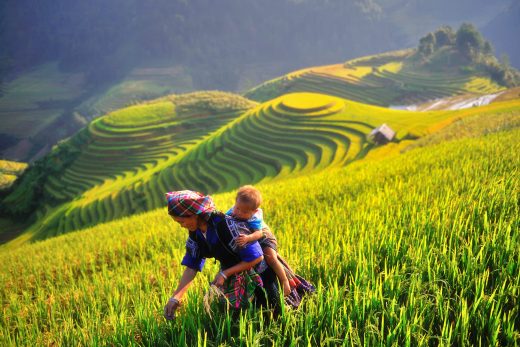 Tu vi 12 cung hoang dao thu Ba ngay 18/8/2020