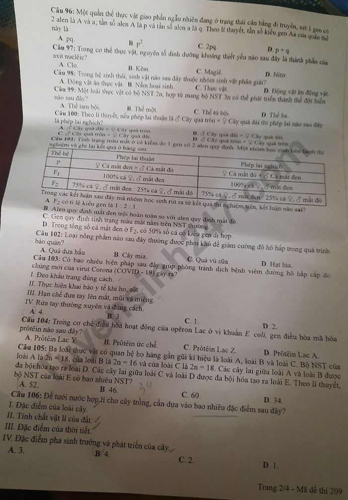Dap an de thi tot nghiep THPT 2020 ma de 209 mon Sinh
