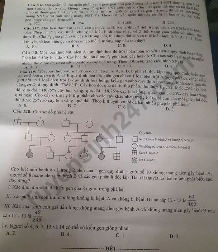 Dap an de thi tot nghiep THPT 2020 ma de 209 mon Sinh