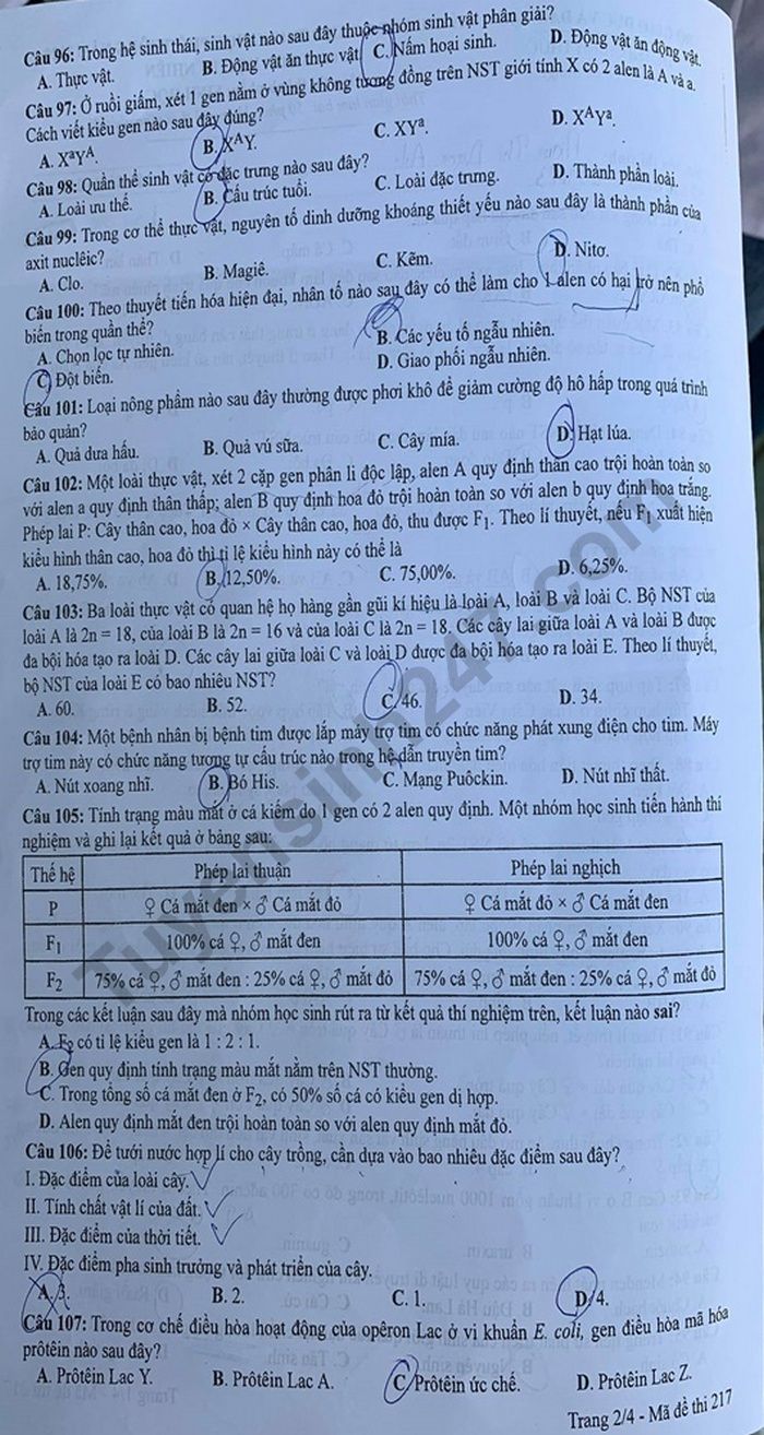 Dap an de thi tot nghiep THPT mon Sinh nam 2020 ma de 217
