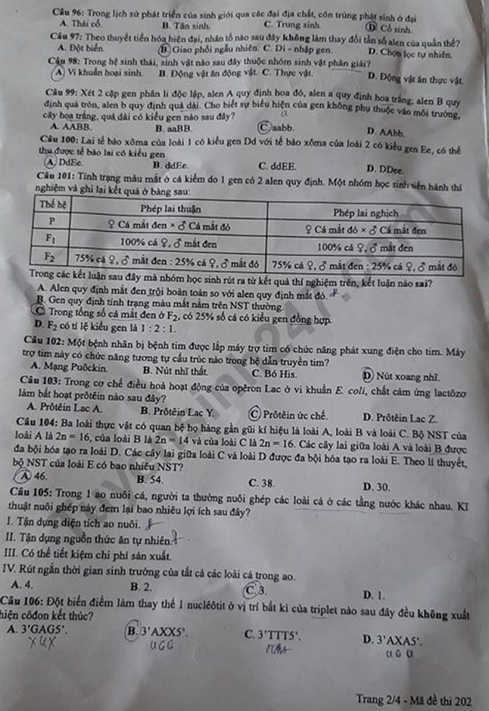 Dap an de thi mon Sinh tot nghiep THPT ma de 202 nam 2020