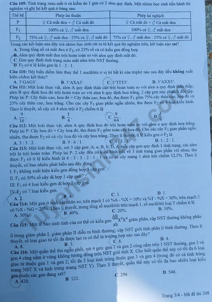 Dap an de thi mon Sinh tot nghiep THPT 2020 ma de 208