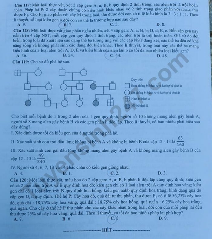 Dap an de thi mon Sinh tot nghiep THPT 2020 ma de 208