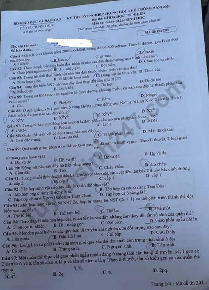 Dap an de thi tot nghiep THPT 2020 mon Sinh ma de 204