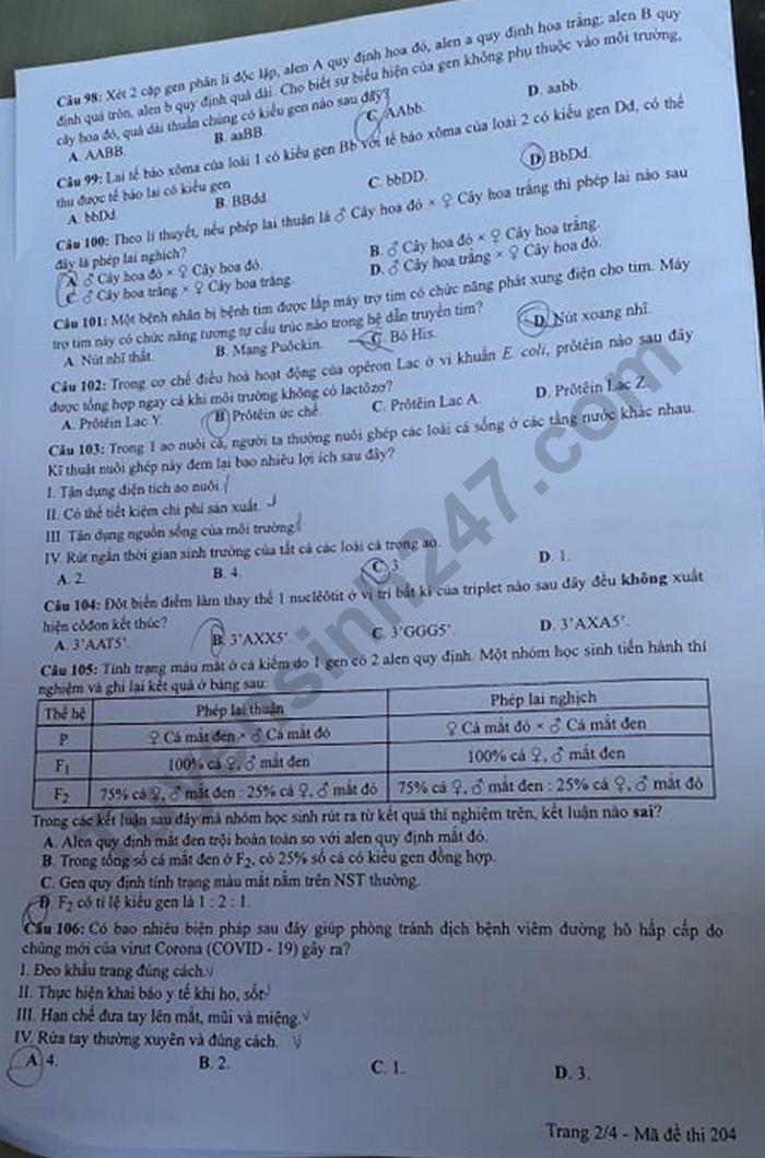 Dap an de thi tot nghiep THPT 2020 mon Sinh ma de 204