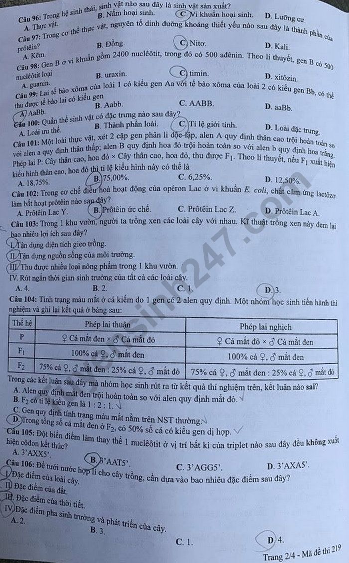 Dap an de thi tot nghiep THPT 2020 mon Sinh ma de 219