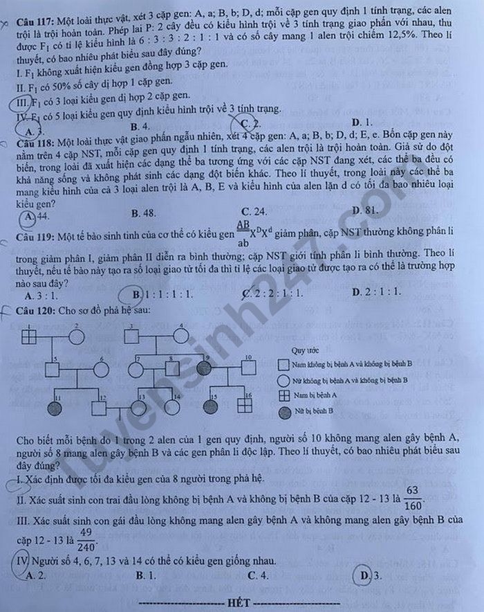 Dap an de thi tot nghiep THPT 2020 mon Sinh ma de 219