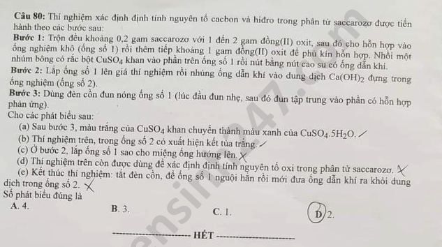 Dap an de thi mon Hoa tot nghiep THPT 2020 ma de 206