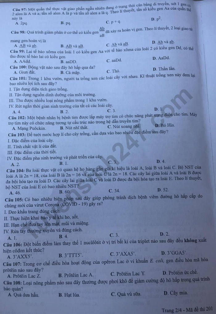 Dap an de thi tot nghiep THPT mon Sinh nam 2020 ma de 201