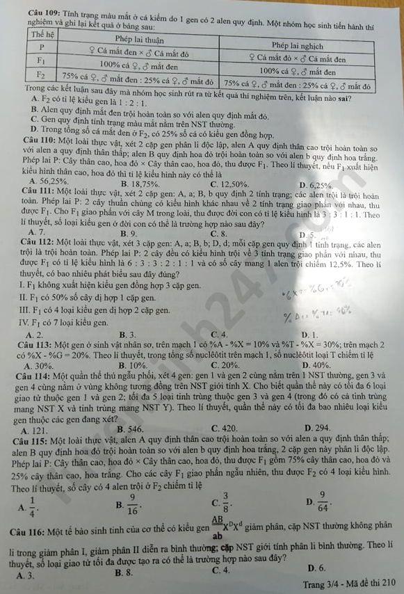Dap an de thi mon Sinh ma de 210 thi tot nghiep THPT 2020
