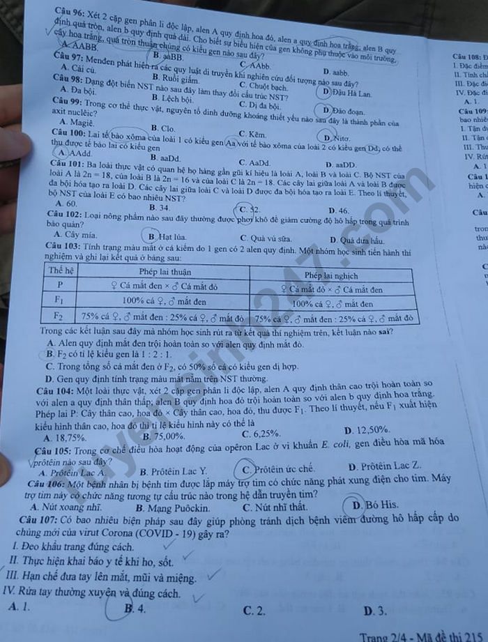 Dap an de thi mon Sinh ma de 215 thi tot nghiep THPT nam 2020