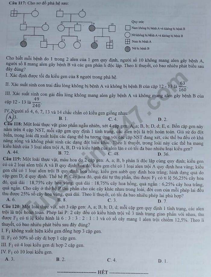 Dap an de thi mon Sinh tot nghiep THPT 2020 ma de 220