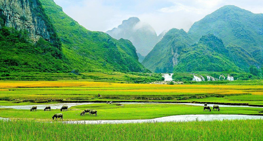 Tu vi 12 cung hoang dao thu Bay ngay 3/10/2020