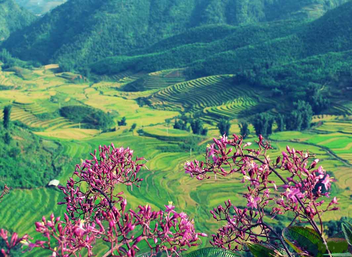 Tu vi 12 cung hoang dao thu Sau ngay 9/10/2020