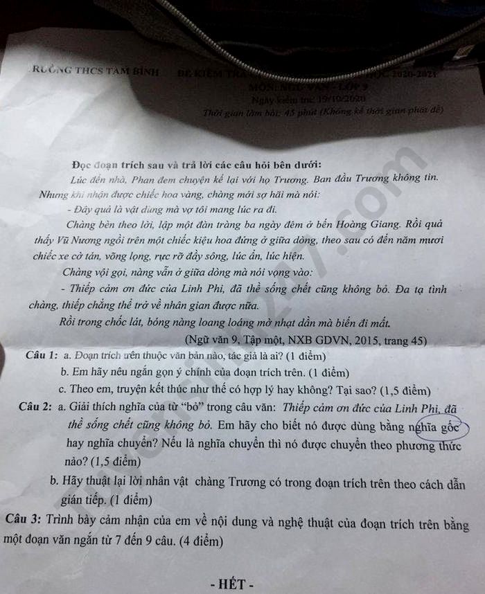 De kiem tra giua HK1 nam 2020 THCS Tam Binh mon Van lop 9