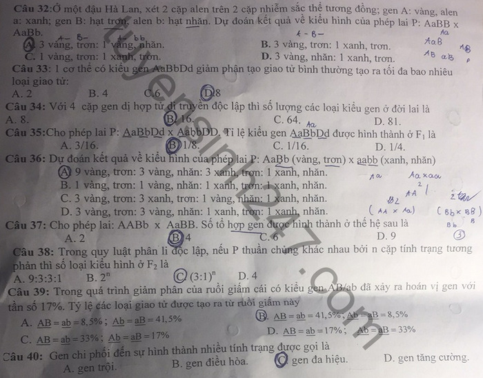 De kiem tra giua HK1 nam 2020 THPT Nam Cao Sinh lop 12