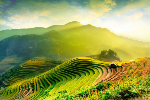 Tu vi 12 cung hoang dao thu sau ngay 6/11/2020