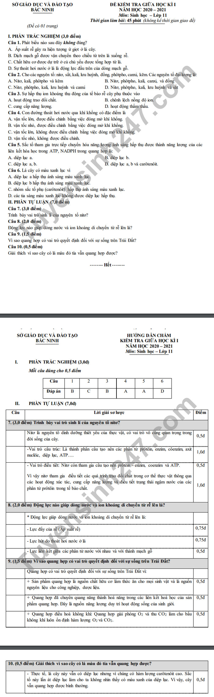 De kiem tra giua HK1 nam 2020 Tinh Bac Ninh mon Sinh lop 11