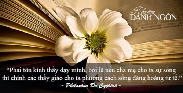 40 cau danh ngon hay va y nghia nhat ve thay co ngay 20/11