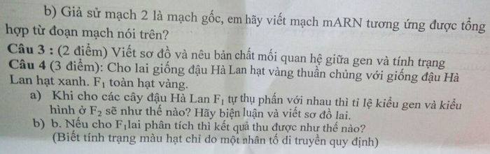 De kiem tra giua HK1 nam 2020 THCS Nguyen Khuyen Sinh lop 9