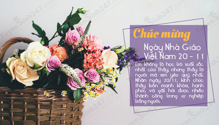 40 loi chuc ngay 20/11 hay va y nghia nhat cho thay co giao