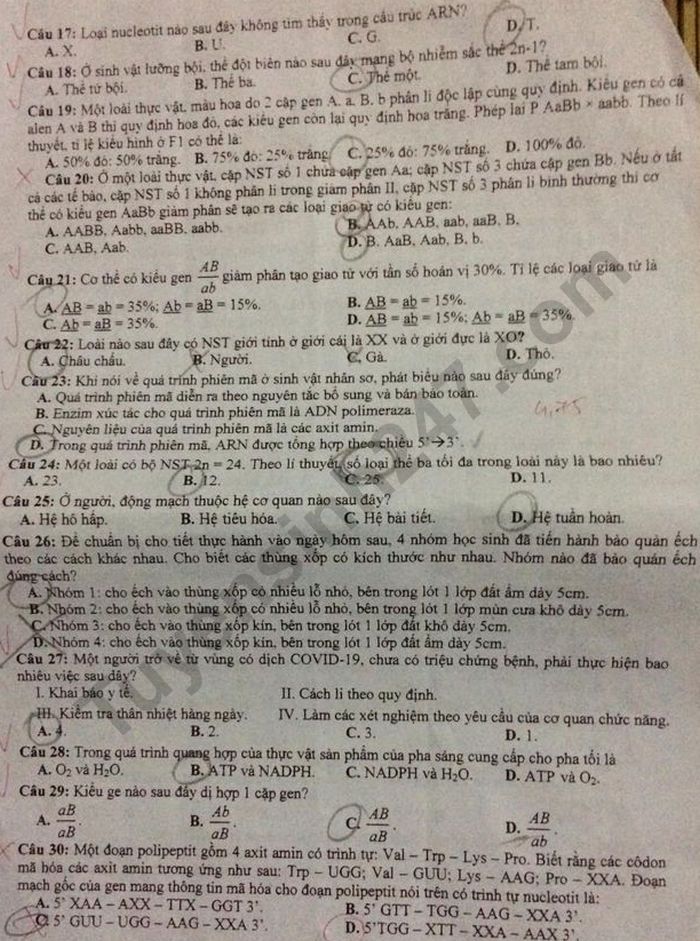 De thi thu THPT Quoc gia 2021 lan 1 mon Sinh 12 THPT Yen The