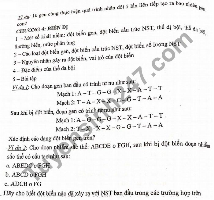 De cuong on tap HK1 nam 2020 THCS Yen Hoa mon Sinh lop 9