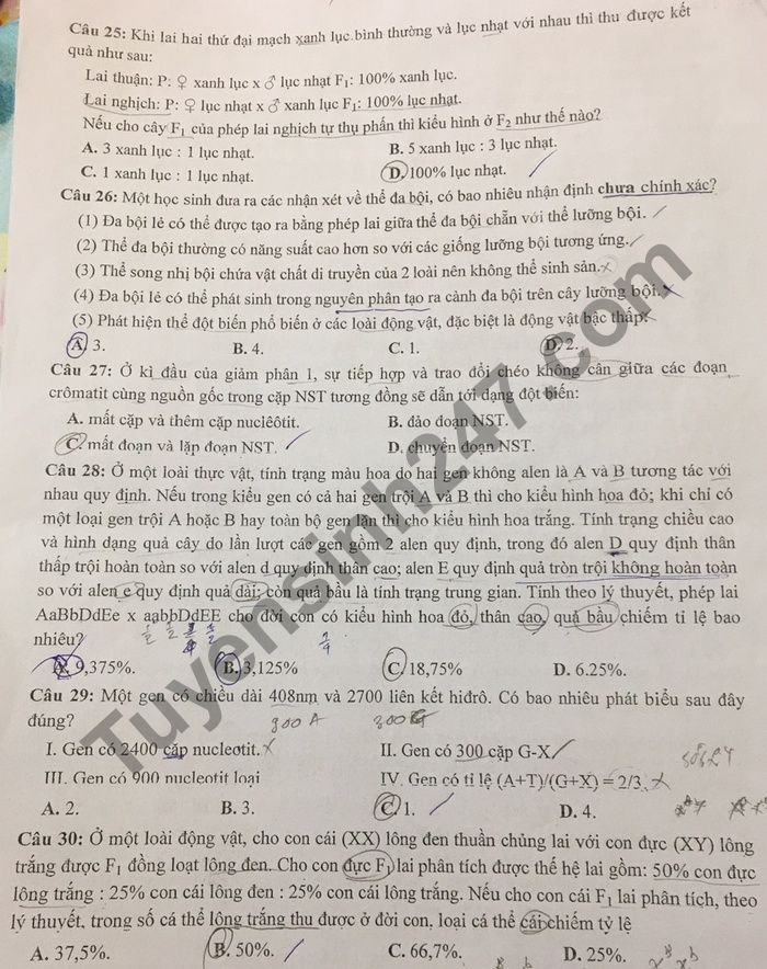 De thi thu Tot nghiep THPT 2021 lan 1 mon Sinh THPT Chuyen Thoai Ngoc Hau