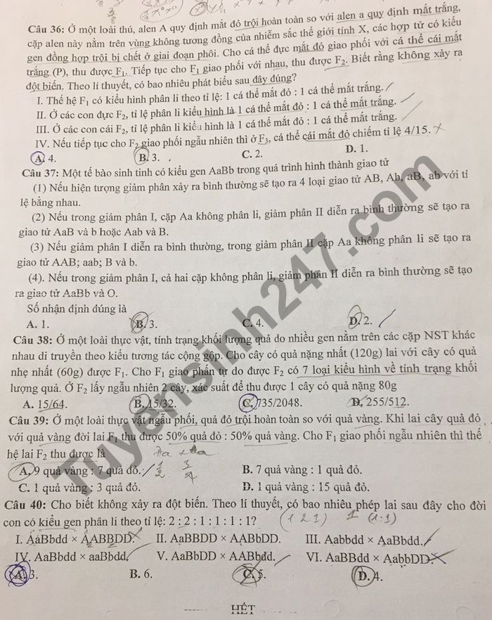 De thi thu Tot nghiep THPT 2021 lan 1 mon Sinh THPT Chuyen Thoai Ngoc Hau