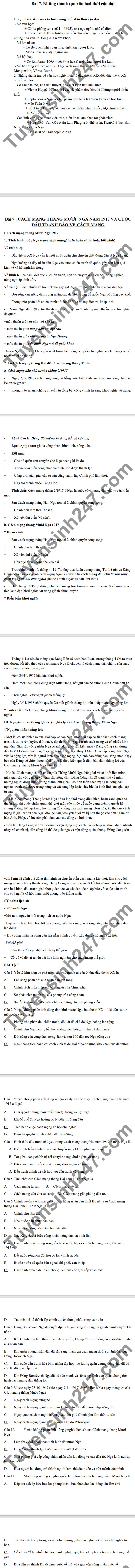De cuong hoc ki 1 mon Su lop 11 THPT Thai Phien nam 2020
