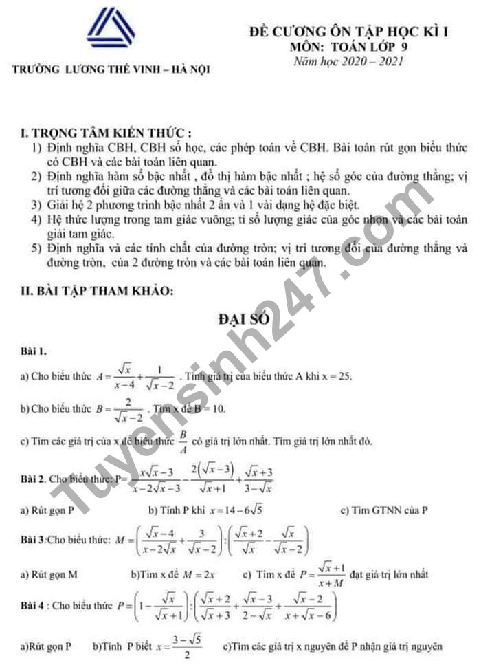 De cuong on HK1 2020 Truong Luong The Vinh lop 9 mon Toan