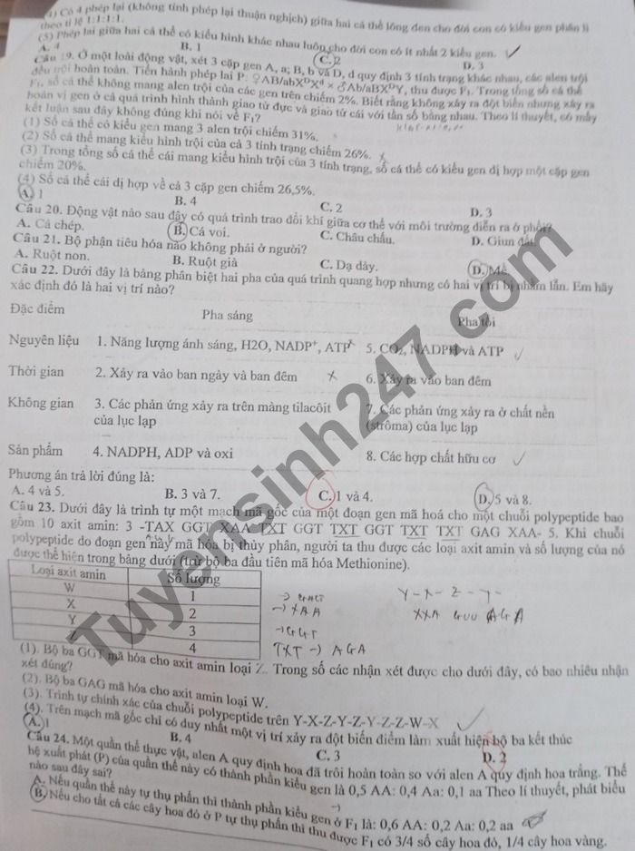 De thi thu Tot nghiep THPT 2021 mon Sinh lan 2 THPT Chuyen Bac Ninh