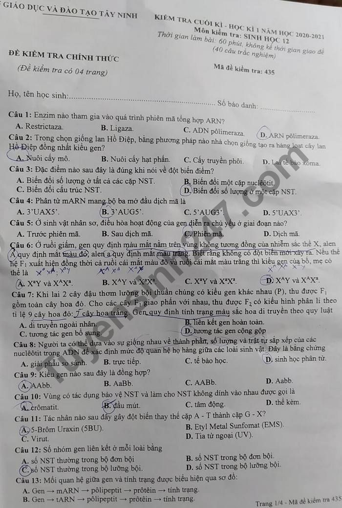 De kiem tra hoc ki 1 mon Sinh lop 12 So GD-DT Tay Ninh 2020