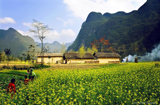 Tu vi 12 cung hoang dao thu Hai ngay 21/12/2020