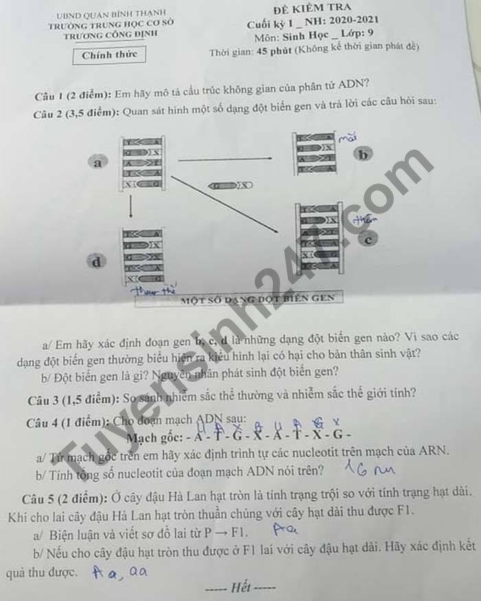 De kiem tra HK1 mon Sinh lop 9 THCS Truong Cong Dinh 2020