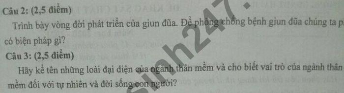 De thi HK1 nam 2020 mon Sinh lop 7 Phong GD Hai Hau