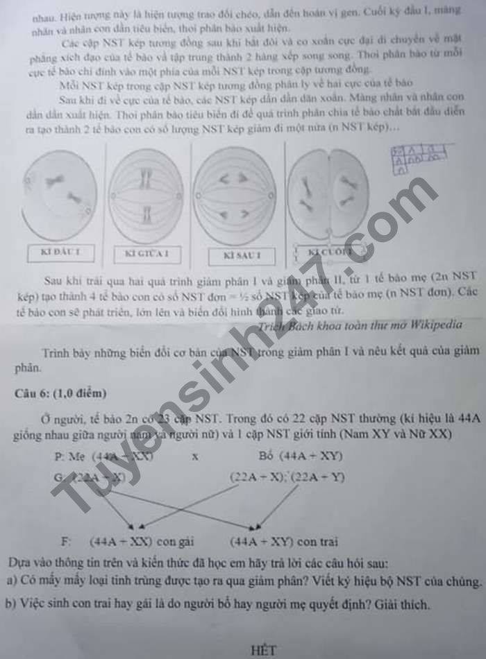De thi HK1 THCS Binh Tri Dong mon Sinh lop 9 nam 2020