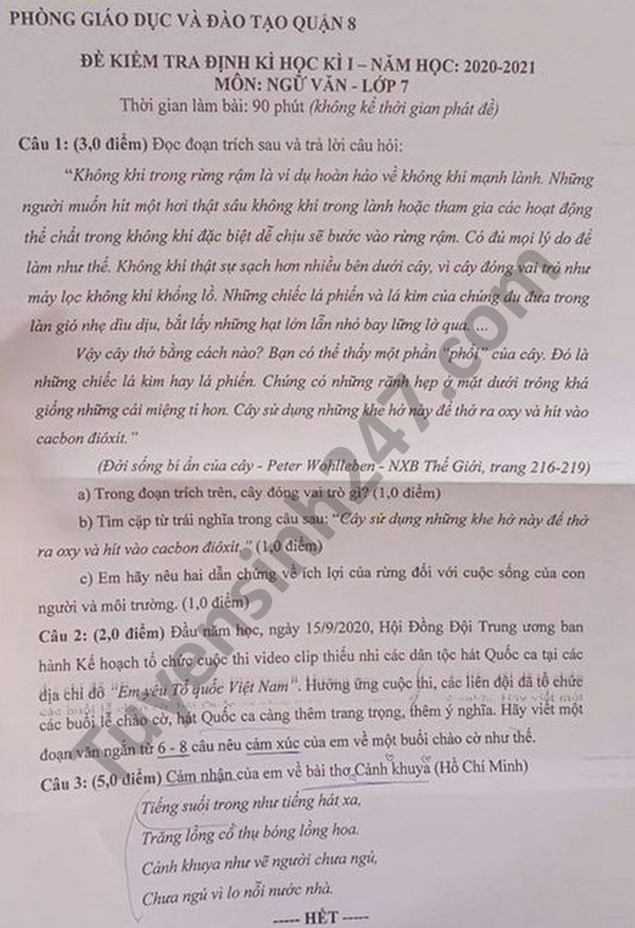 De thi HK1 lop 7 mon Van Phong GD Quan 8 nam 2020