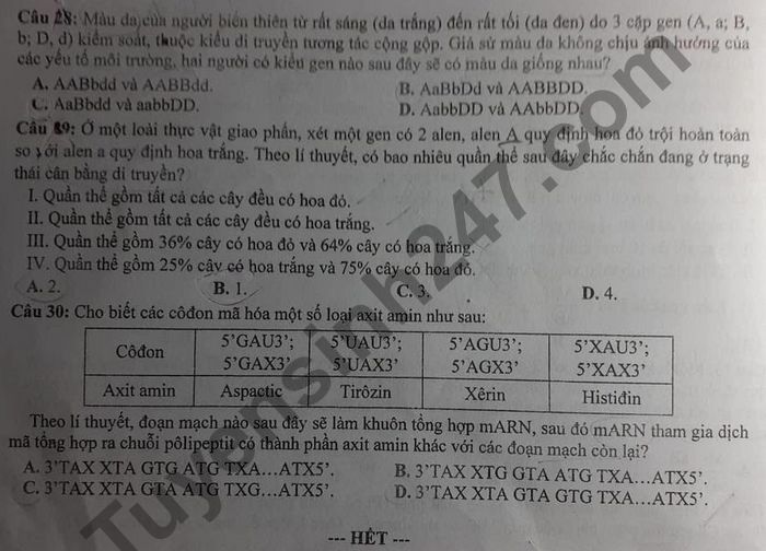 De kiem tra hoc ki 1 mon Sinh lop 12 So GD TP Da Nang 2020