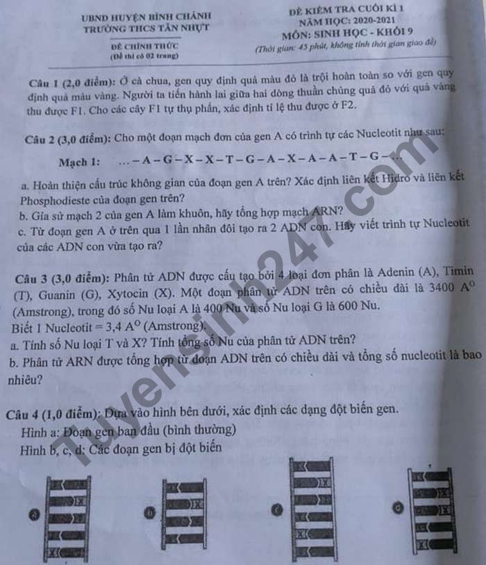De kiem tra HK1 nam 2020 lop 9 mon Sinh THCS Tan Nhut