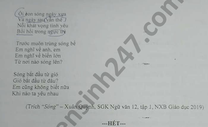 De thi hoc ki 1 THCS-THPT Tran Cao Van mon Van lop 12 2020